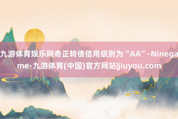 九游体育娱乐网奇正转债信用级别为“AA”-Ninegame-九游体育(中国)官方网站|jiuyou.com